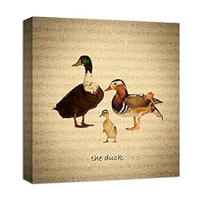 Canvas Wall Art for Living Room,Bedroom Home Artwork Paintings Farm Animal Ready to Hang - 12x12 inches