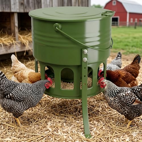 Kingump Metal Chicken Feeder