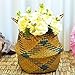 Emptystar Wicker Wall Flowers Plant Planter Pot Seagrass Basket Dirty Hanging Planters Container for Indoor or Outdoor Plants Garden Home Decor, Gardening Tool (A:22×20cm)thumb 2