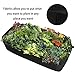 ASSR Fabric Raised Garden Bed, Rectangle Breathable Planting Container Grow Bag Planter Pot for Plants, Flowers, Vegetables size 6(L) x3(W) ft (Black)