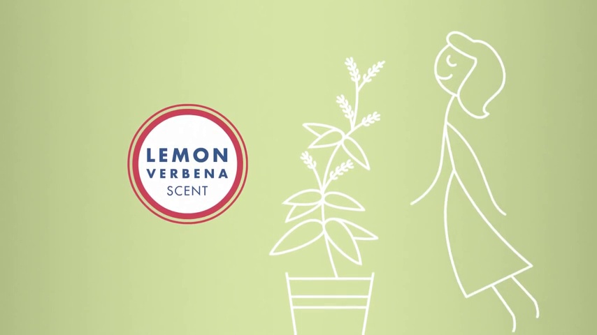 Mrs. Meyer's Clean Day's Liquid Hand Soap, Basil, 12.5 Fl Oz (Pack of 1) - Image 3