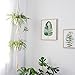 Mkono Macrame Double Plant Hanger Indoor Outdoor 2 Tier Hanging Planter Cotton Rope 4 Legs 67 Inch