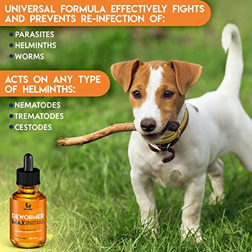 Dewormer for Dogs and Cats Natural Treatment from Tapeworm, Roundworm