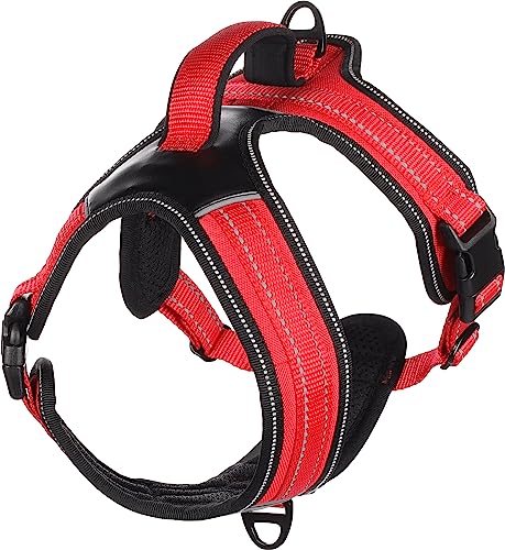 Geschirr TOGA ROT XS 47-57CM