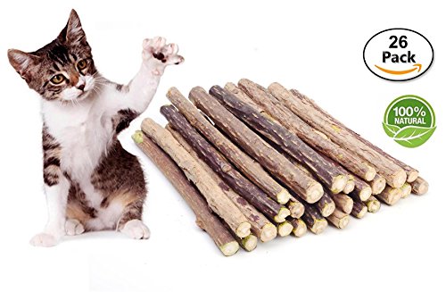 CXP Good Goods Cat Catnip Stick,Silver Vine for Teeth Grinding Chew Toy (26 Pieces)