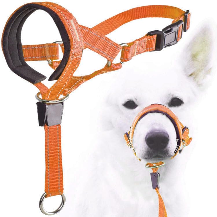 Zerodis Dog Head Halter with Safety Strap, Stops Heavy Pulling On The Leash Padded Headcollar for Dog Sizes Adjustable Head Collar for Dogs (Orange)