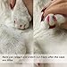 YYYux Cat Nail Caps 120PCS Soft Rubber Pet Paws Claws Nail Covers 6 Colors with Glue and Applicators, Options of 4 Size (M)