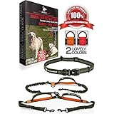 Pet Dreamland Double Dog Leash Hands Free - 2018 Two Dogs Coupler Complete Set - No Tangle 360 Splitter Swivel - for Walking 2 Dogs Medium to Large (up to 150lbs) - No Pull Tandem Dual Bungee Lead