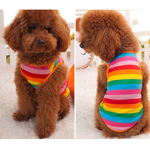 Ztl Rainbow Stripe Dog Shirts Pet T-Shirt Cotton Vest Puppy Apparel Dog Cat Clothes
