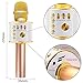 EMISH Wireless Karaoke Microphone 3-in-1 Microphone Speaker 2600mAh Portable Karaoke Machine Built-in Bluetooth Speaker Machine for iPhone Android Smartphone or Pc(Golden)