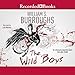 Wild Boys