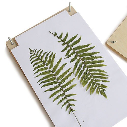 BestNest Nature Presses, 12" x 18", Set of 2 Pricepulse