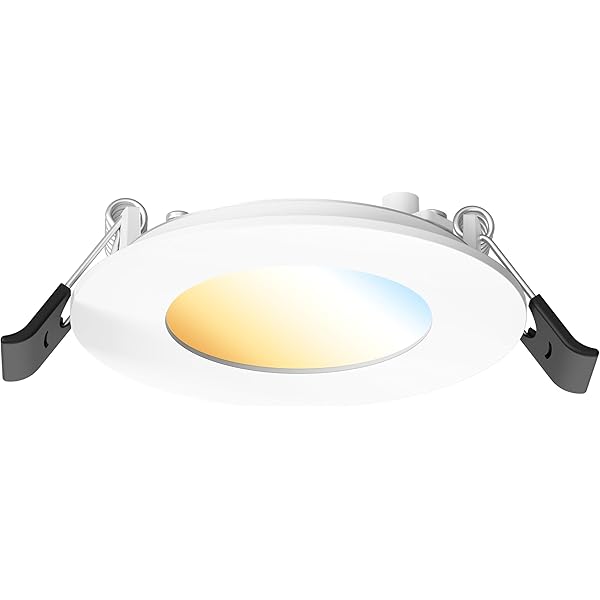 Amazon.com: Lumitec 113190 Mirage LED Exterior or Interior Down