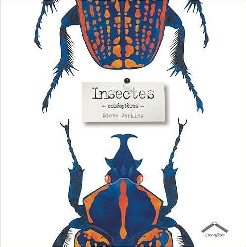 insectes-coleopteres