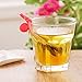 Lofekea Glass Drink Markers Set-12 Mini Shark And Snail Shape Tea Bag Holder Silicone Charms Reusable Glass Identifiers