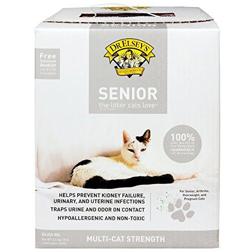 Top 10 Best Cat Litter Boxes For Senior Cats Top Reviews No Place