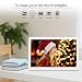 Andoer 17 Inch Digital Picture Photo Frame 16:9 IPS Screen with 1920X1080 Resolution Include 8GB SD Card Support Video, USB and SD Card Slots, Calendar, Background Musicthumb 1