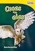 Teacher Created Materials - TIME For Kids Informational Text: Cosas con alas (Things with Wings) - Grade 1 - Guided Reading Level F (Spanish Edition)