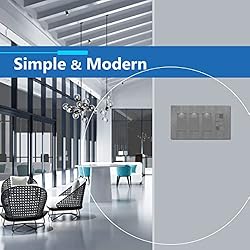 LIDER Brushed Finish Decorator Switch