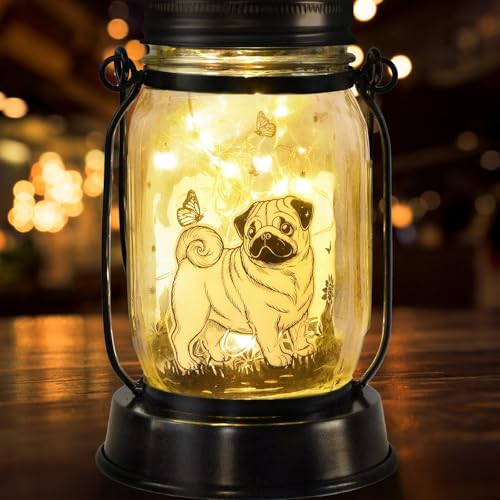 Kyoryuger Pug Dog Gifts