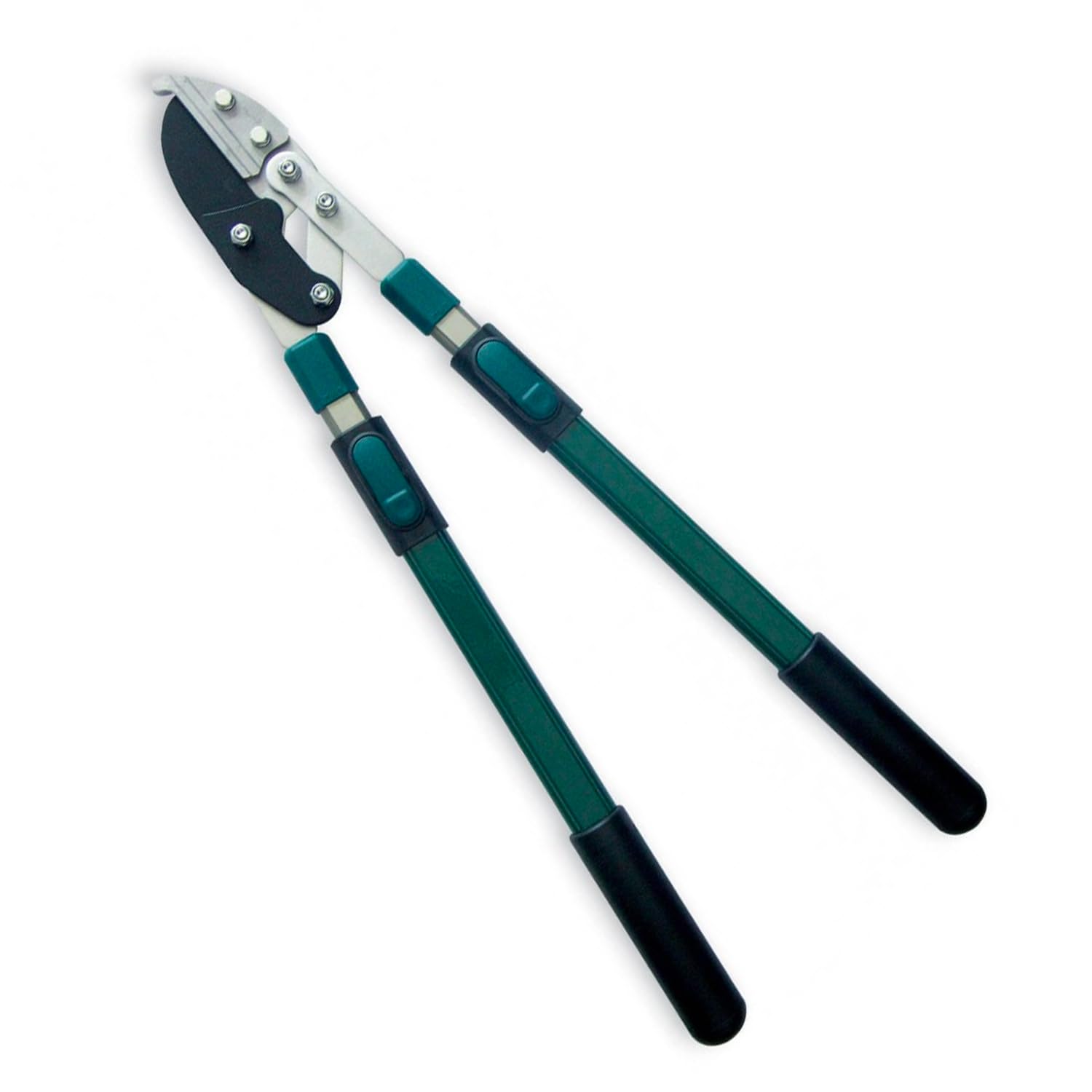 CARTERS - TSBLOP - Telescopic Anvil Loppers - Garden Pruning Tool - Telescopic Handles for Extended Reach - Ideal for Precise Cutting & Pruning - for Gardening