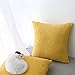 Kevin Textile Decor Velvet Throw Pillow Covers, Striped Decorative Pillow Case Handmade Cushion Cover for Couch, 18x18 inches,2 Pieces,Primrose Yellow