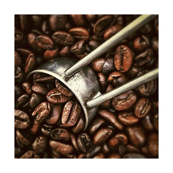 Nairobi - Hochwertige Mysore Kaffeebohnen - 1 kg Packung – Bild 5
