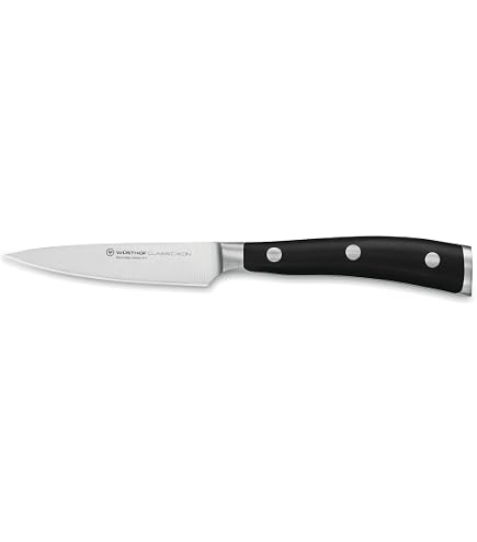 Amazon.com: Wüsthof Classic IKON 6