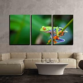 3 Piece Canvas Wall Art - Red Eye Frog on The Forest - Modern Home Art Stretched and Framed Ready to Hang - 16"x24"x3 Panels