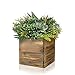 CYS EXCEL Cube Planter Box with Removable Zinc Metal Liner (5