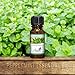 Top 6 Essential Oils Gift Set for Diffuser - #1 Voted Christmas Gifts for Mom, Wife, Women, Grandma, Her for Aromatherapy by Aviano Botanicalsm