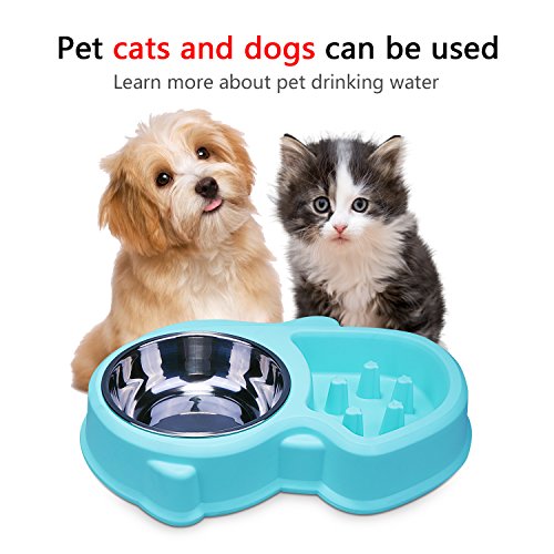 Perfect Pet Bowl