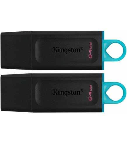 Kingston DataTraveler Exodia 256GB USB 3.2 Flash Drive DTX/256GB