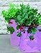 Tierra Garden 50-1060 Haxnicks Strawberry and Herb Patio Planter and Grow Bag, 2-Pack