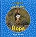 Guess Who Hops (Guess Who: Bookworms, Guided Reading Level G) by 