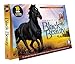 The Best of Black Beauty