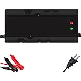 48V/58.4V 5A LiFePO4 Battery Charger for 48V(51.2V 16Strings) Lithium Iron Phosphate Battery,Smart Lithium Battery Charger