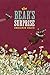 The Bear's Surprise (Bear's Song)