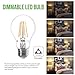 Lighting EVER LED Light Bulbs, Warm White, 6 Pack