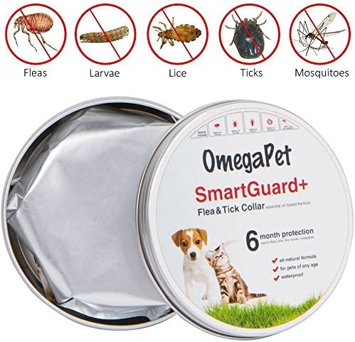 Best Flea Collar for Dogs - Natural Flea Collars for Dogs - Flea and Tick Collar