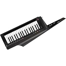 鍵盤楽器 KORG RK-100S 2 KEYTER 51O19GTfE6L._AC_UL210_SR210,