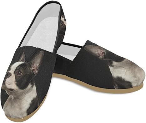 boston terrier flats