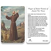 Holy cards for Catholics including St Jude Our Lady of Guadalupe St Michael St Joseph St Anthony Prayer and Others (St. Francis)