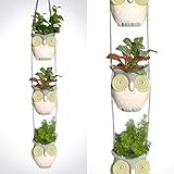 Wooded Mountain Owls. Cool Hanging Succulent Planters for Plants & Cactus. Vintage Owl Decor Pots.