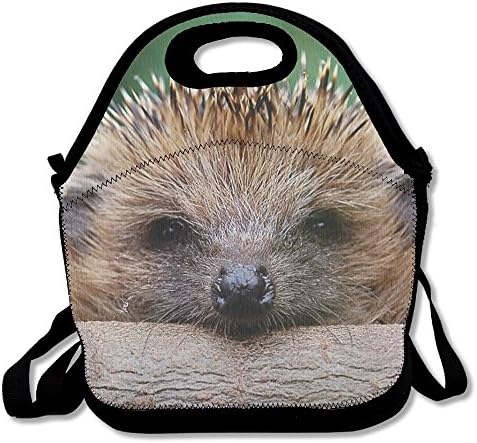 Cute Animal Hedgehog Insulated Lunch Bag - Neoprene Lunch Bag - Large Reusable Lunch Tote Bags For Women, Teens, Girls, Kids, Baby, Adults Portable Carry