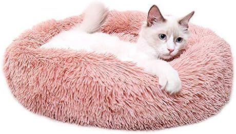 marshmallow cat bed amazon