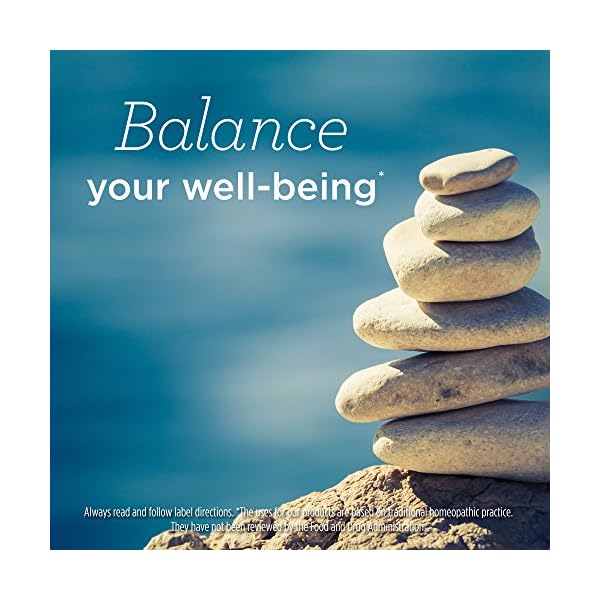 Hyland’s Homeopathic Cell Salts 12 Silicea 6X Tablets, Natural Relief