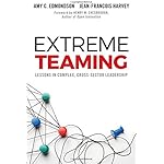 Extreme Teaming: Lessons in Complex, Cross-Sector Leadership