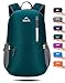 Venture Pal 25L Travel Backpack - Durable Packable Lightweight Small Backpack for Women Men