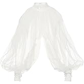 Women's Sexy Batwing Long Sleeves Sheer Shirt See Through Mock Neck Irregular Tops Front Back Split Shawl